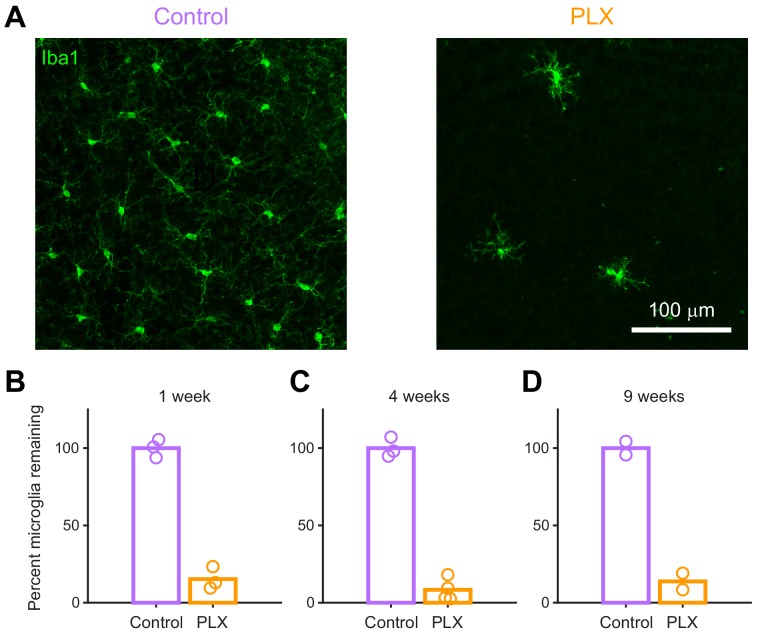 Figure 2—figure supplement 2.