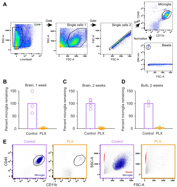 Figure 2—figure supplement 1.