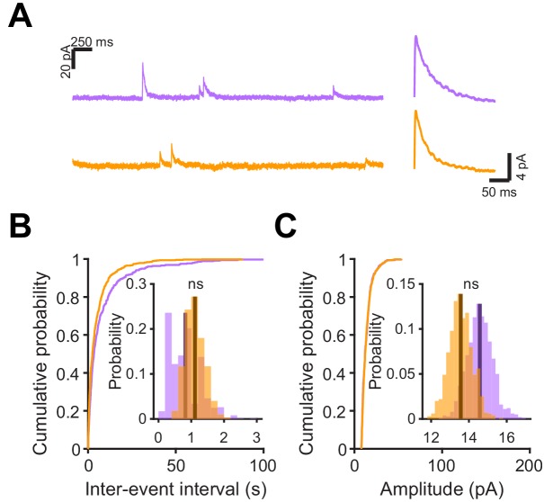 Figure 7—figure supplement 1.