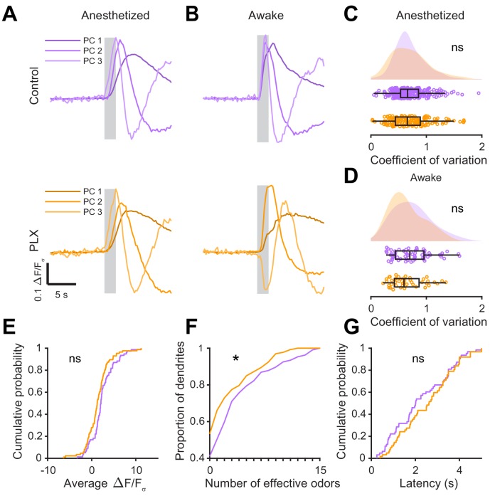 Figure 3—figure supplement 1.