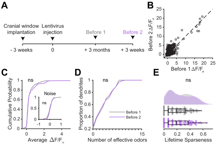 Figure 4—figure supplement 1.