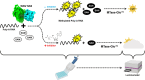 Image, graphical abstract