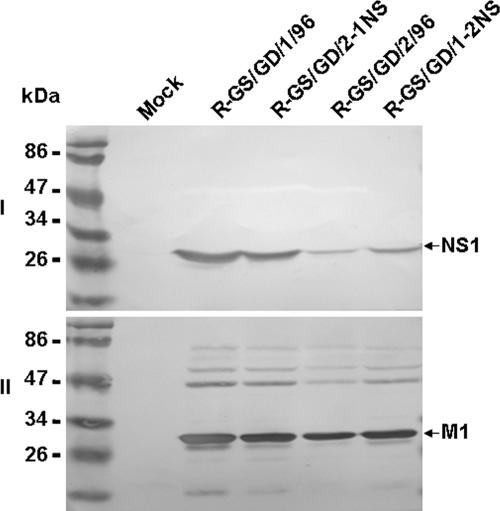 FIG. 2.