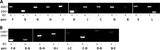 FIG. 6.