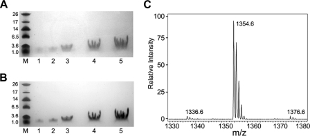 FIG. 4.