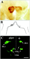 Fig. 4.