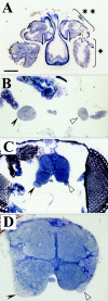 Fig. 3.