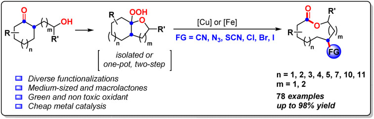 graphic file with name d2sc06157k-ga.jpg
