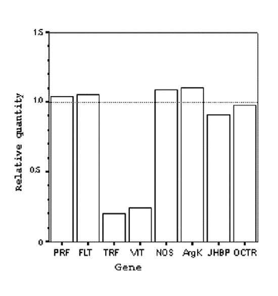 Figure 2. Relative quantification of gene expression