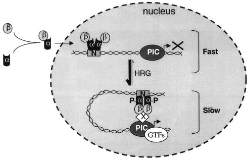 FIG. 8.