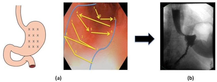 Figure 2.