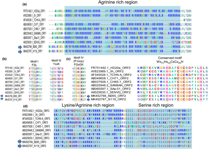 FIGURE 2