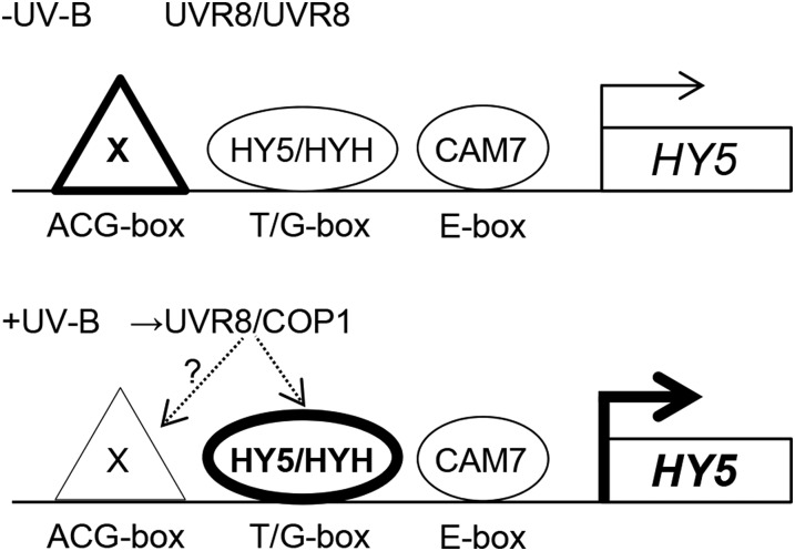 Figure 7.