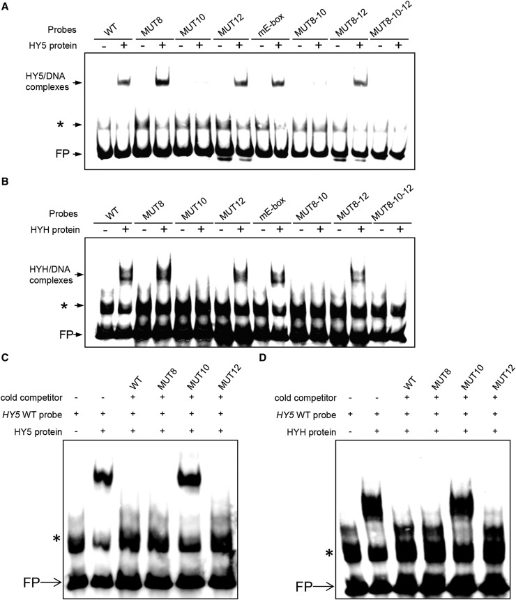 Figure 6.