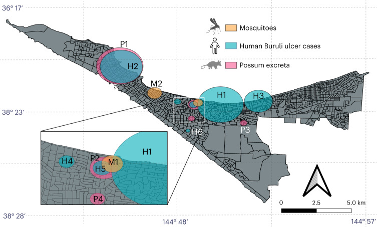 Fig. 4