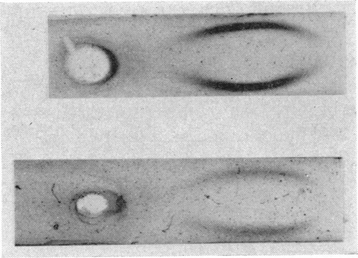 FIG. 9