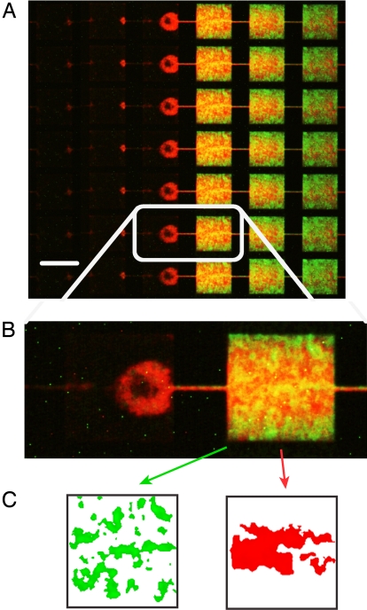 Fig. 6.