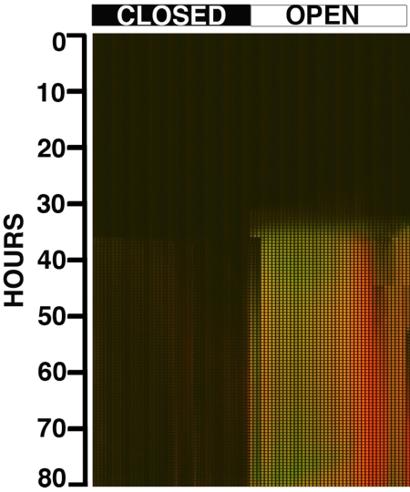 Fig. 3.