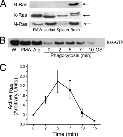 FIGURE 3.