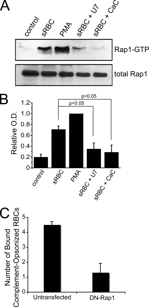 FIGURE 7.