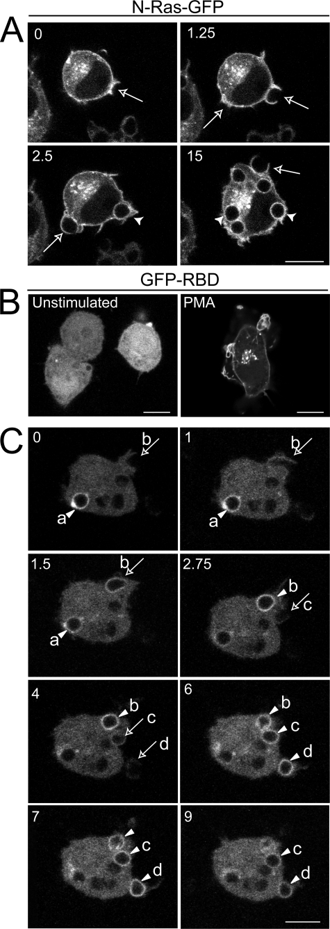 FIGURE 4.