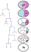 Fig. 2.1