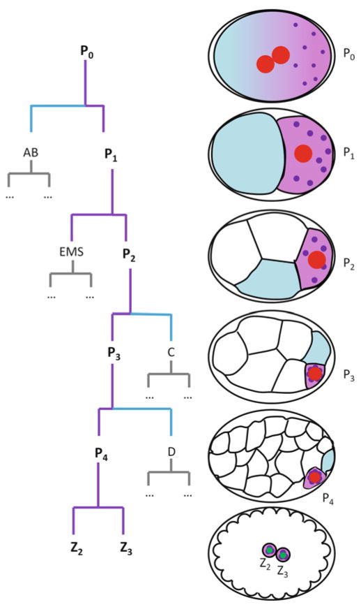 Fig. 2.1