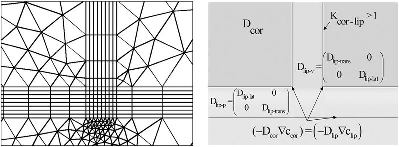 Fig. 3.