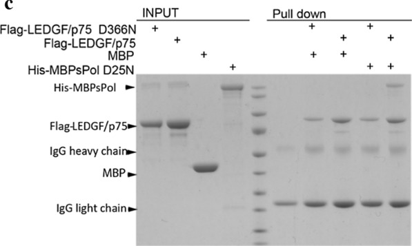 Fig. 4