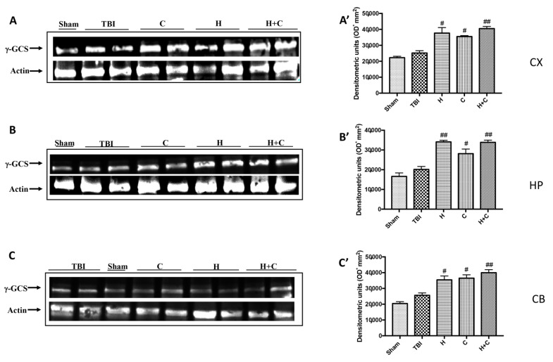 Figure 10