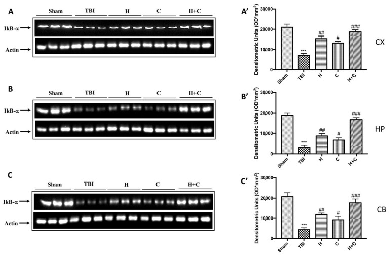 Figure 6