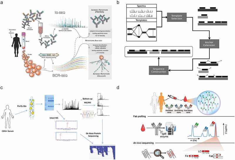 Multiple panels showing workflows from hallmark papers where antibodies are sequenced.