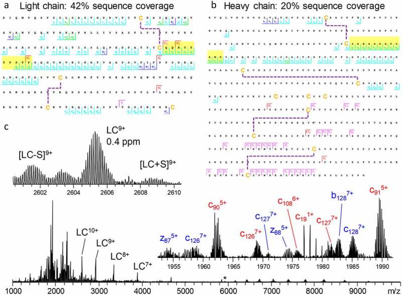 Panel a shows the light sequence annotated with fragments covering 42% of the sequence. Panel b shows the heavy-chain sequence annotated with fragments covering 20% of the sequence. Panel c shows a mass spectrum with two insets showing sections of the spectrum.