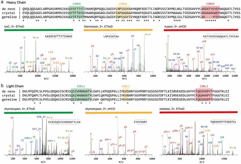 Both panel a and b show 3 aligned sequences marked “de novo”, “crystal” and “germline” respectively. Annotated spectra are shown below the sequences, color coded to indicate C D R number.