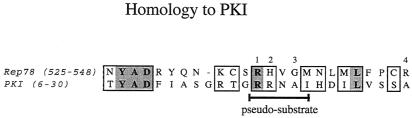 FIG. 7.