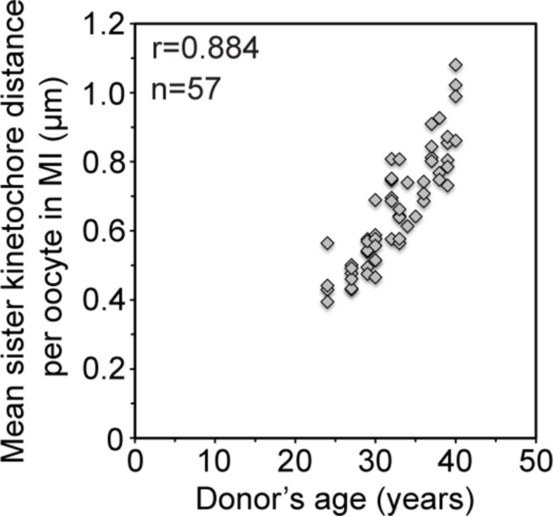 Figure 2—figure supplement 1.