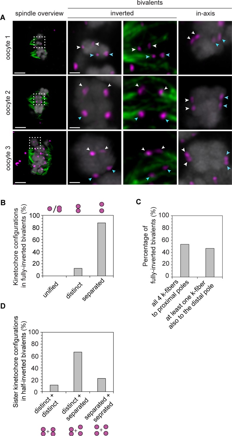 Figure 3—figure supplement 2.