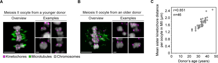 Figure 2—figure supplement 2.