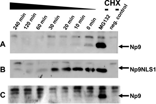 FIG. 8.