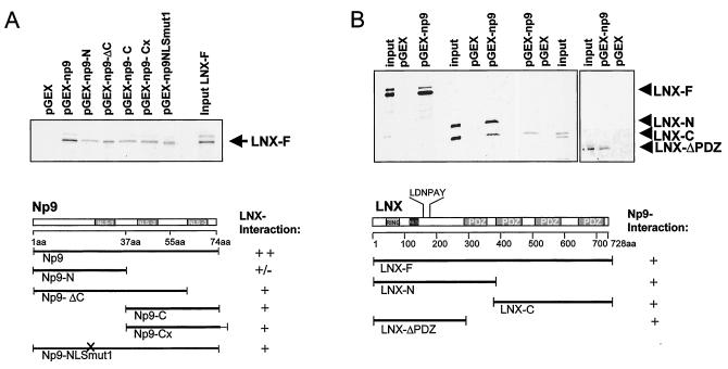 FIG. 6.