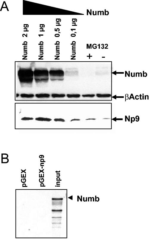 FIG. 9.