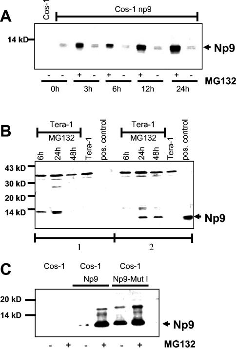 FIG. 7.