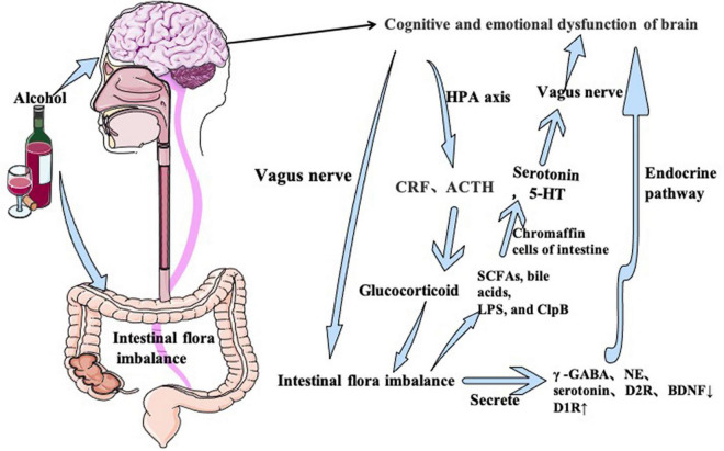 FIGURE 3