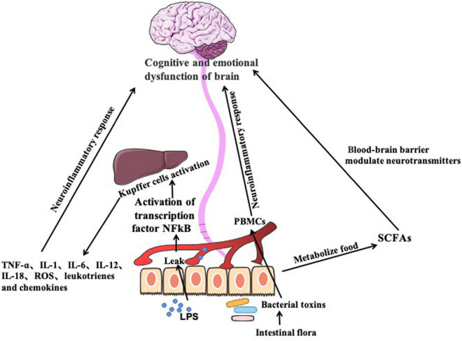 FIGURE 2