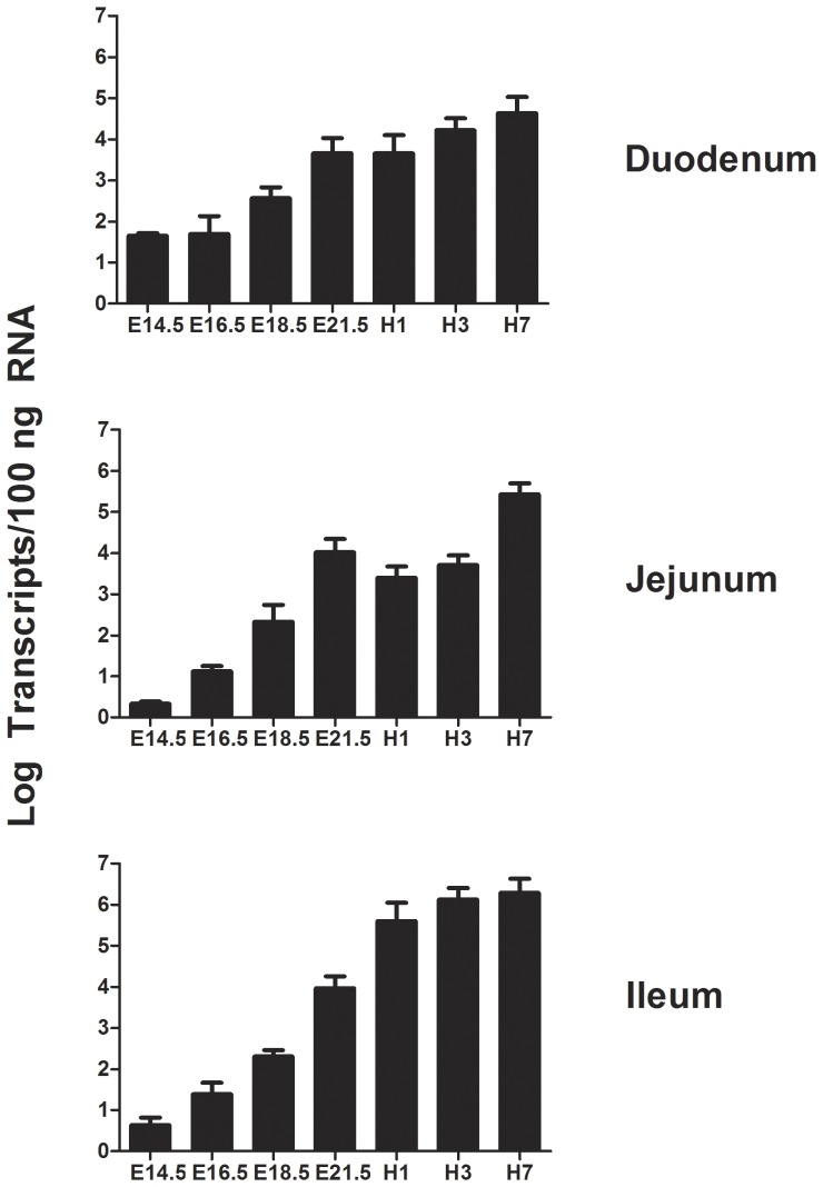 Figure 6