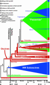 Fig. 2.