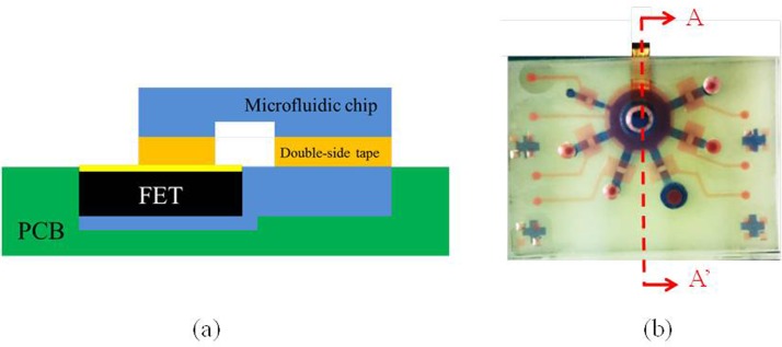 FIG. 3.