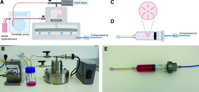 FIG. 1.