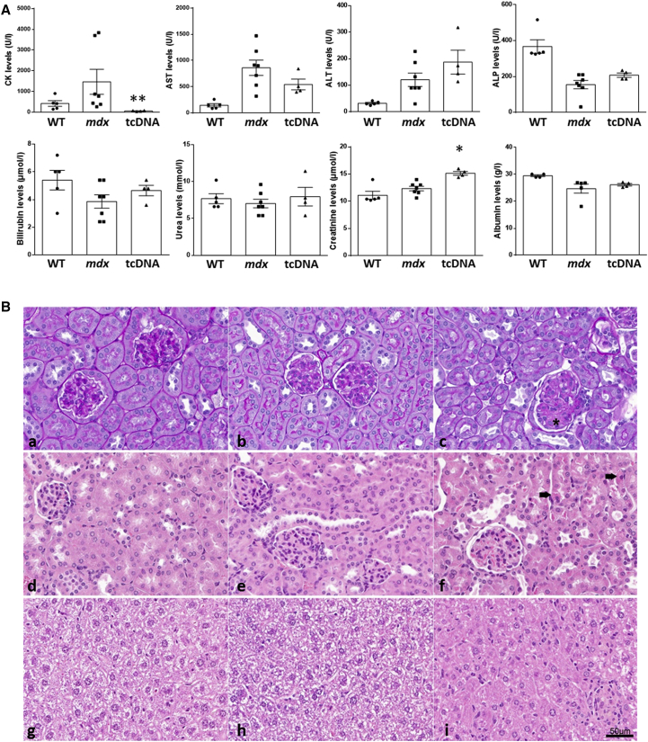 Figure 5