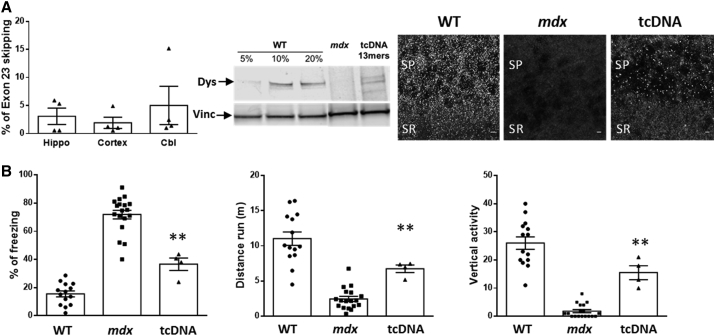 Figure 3